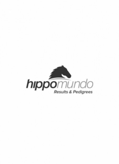 HIPPOMUNDO LOGO