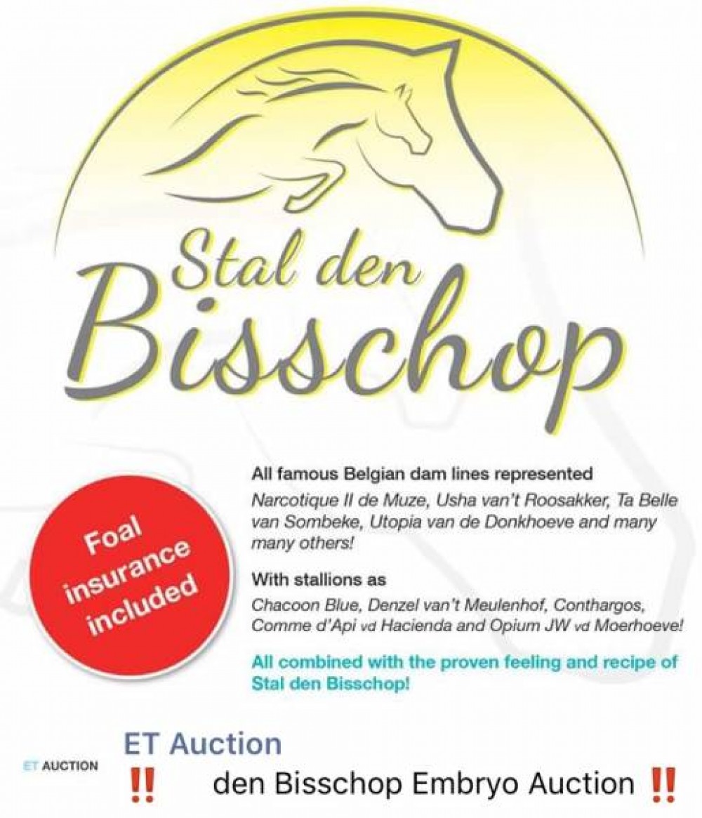 Stal den Bisschop Embryo Auction