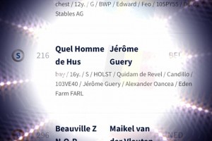 QUEL HOMME - RANKING FEI WORLD CHAMPIONSHIP HERNING - AUGUST 2022